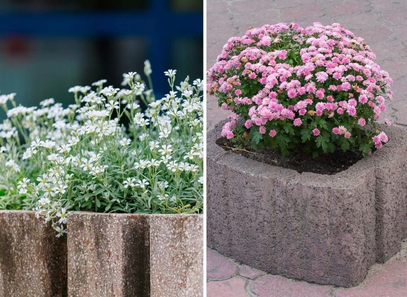 Tradycyjnie w gazonach sadzi się kwiaty jednoroczne lub wieloletnie, ale równie dobrze można zasadzić w nich pnącza, rośliny okrywowe, gatunki spły...