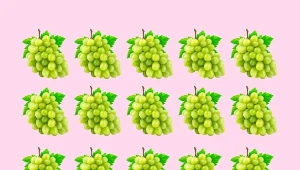 Rozwiąż zagadkę optyczną i wskaż 3 różnice między kiściami winogron.