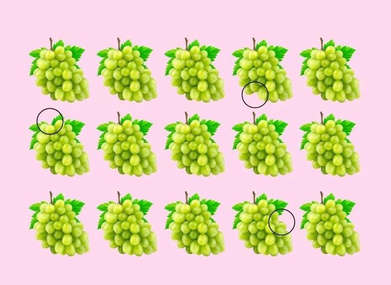 Rozwiązanie winogronowej zagadki optycznej