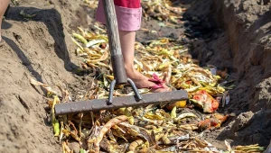 Metoda kompostowania w rowie zyskują coraz większą popularność wśród ogrodników.