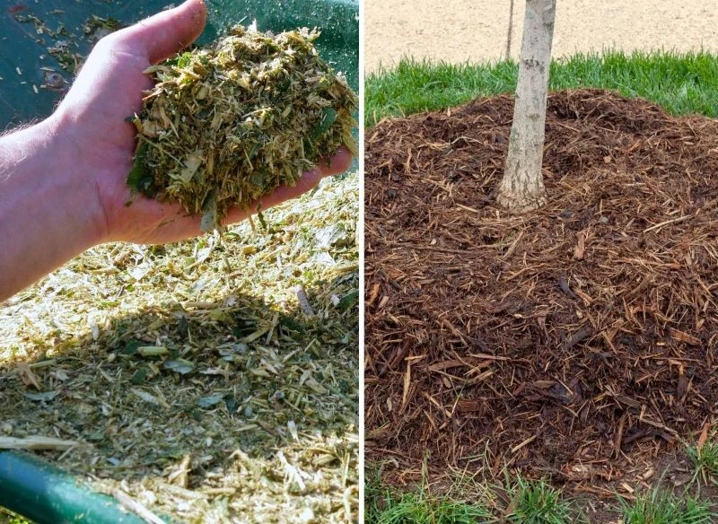 Zmielone wióry i zrębki drewniane, trociny i słoma to dobry materiał okrywowy dla wielu gatunków roślin