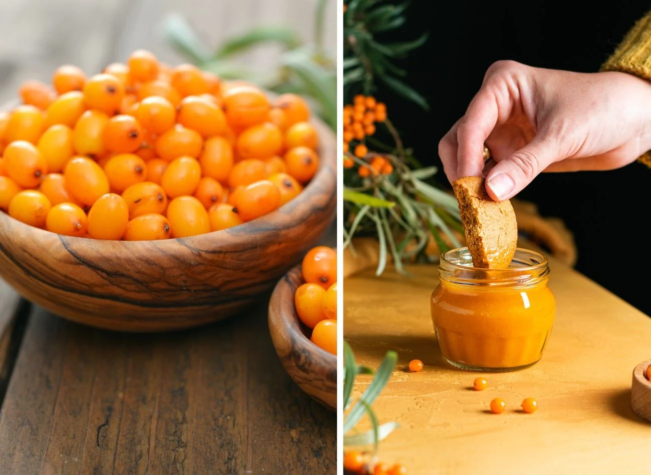 Rokitnik, nazywany złotem Syberii, to prawdziwa bomba witaminowa