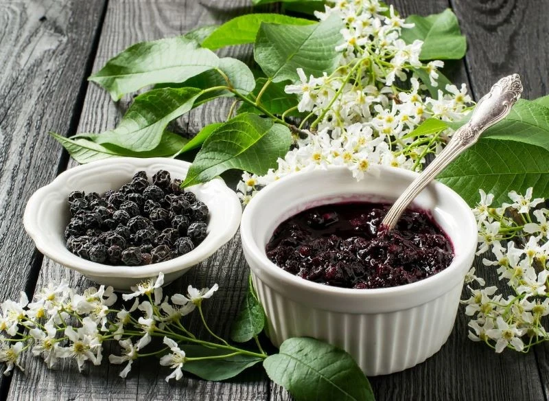 Owoce czeremchy są bardzo wartościowe i mają wiele ciekawych zastosowań