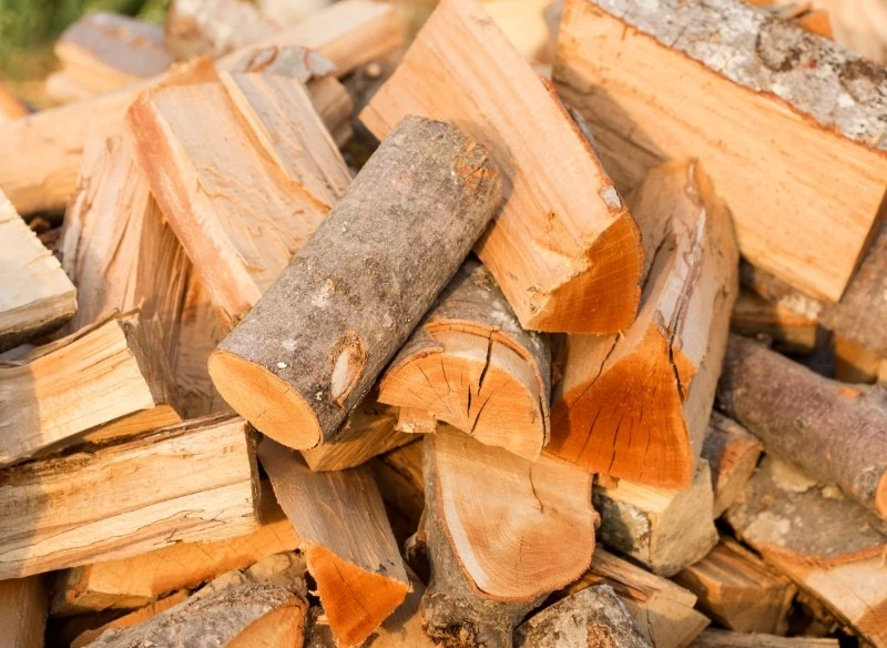 Największą wartość opałową ma drewno liściaste twarde