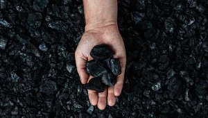 Ile kosztuje węgiel na początku listopada? Tyle zapłacisz za ogrzanie domu