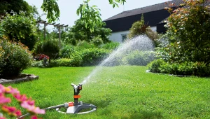 Jak sprawić, by ogród przetrwał czas naszej dłuższej nieobecności?