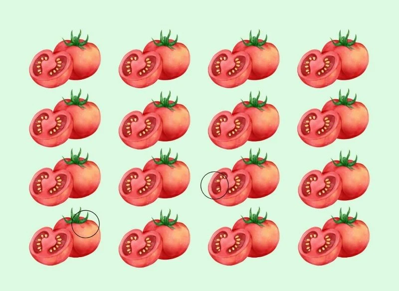 Rozwiązanie pomidorowej zagadki optycznej