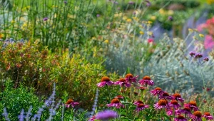Łąka kwietna czy zielony trawnik? Wybór należy do ciebie.