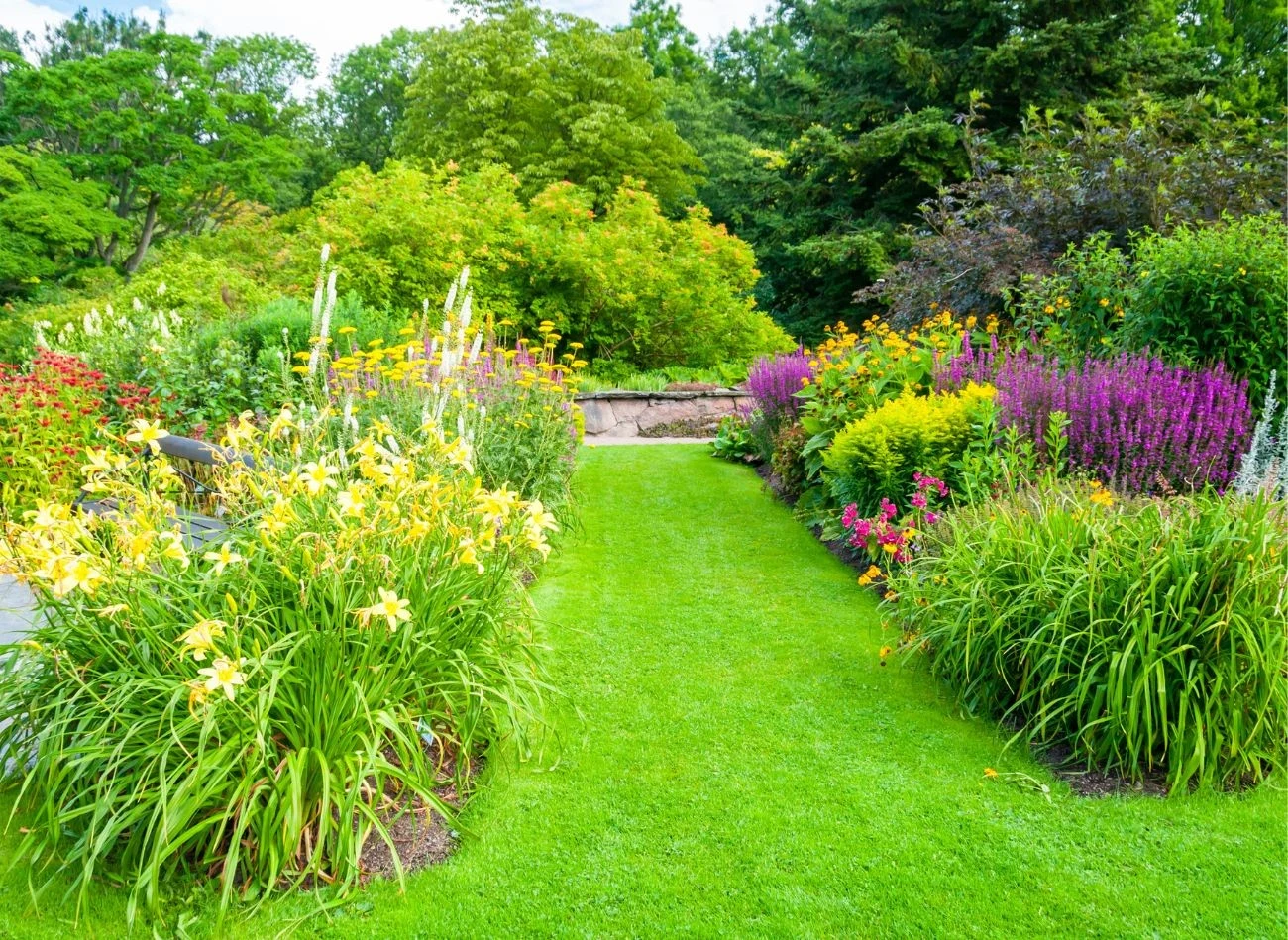 Mączka bazaltowa do świetny nawóz do trawnika i odżywka dla roślin w okresie wegetacji