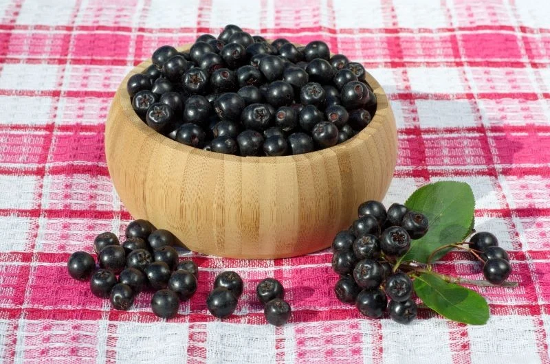 Z pełnych witamin owoców aronii najlepiej przygotować przetwory