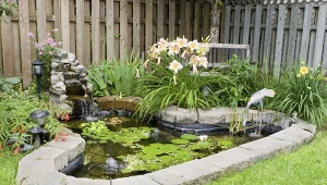 Co zrobić, żeby dziecko w pobliżu oczka wodnego było bezpieczne?