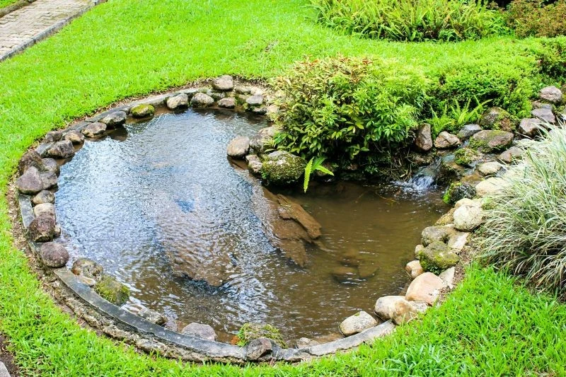 Jak zabezpieczyć oczko wodne przed dziećmi