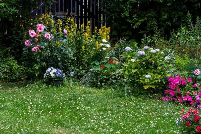 Latem tylko niektóre rośliny wymagają przycinania