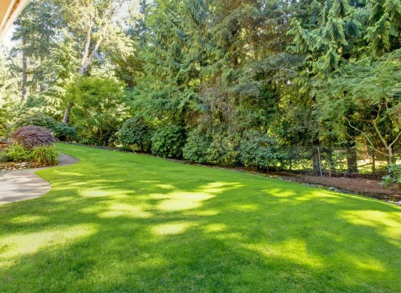 Piękny trawnik możesz odzyskać, dbając o kompleksowość zabiegów regeneracyjnych