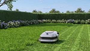 Regularne koszenie trawy może znacząco poprawić jej wygląd