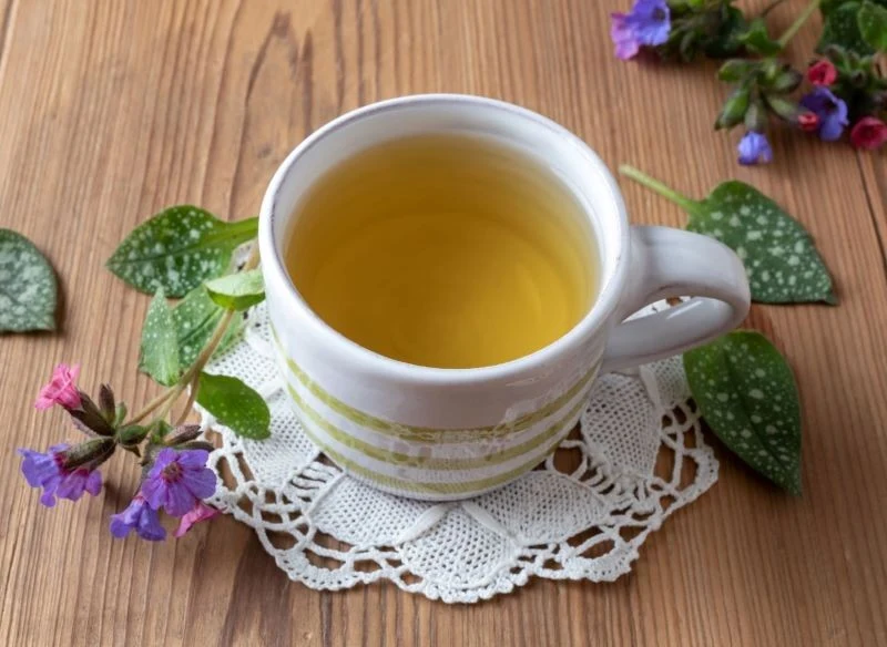 Z miodunki można przyrządzać lecznicze napary