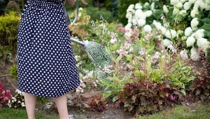 Podpowiadamy, jakie rośliny potrzebują nawożenia latem.