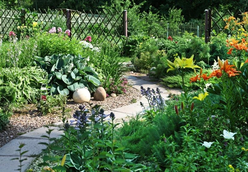 Tylko niektóre rośliny w ogrodzie potrzebują nawożenia latem