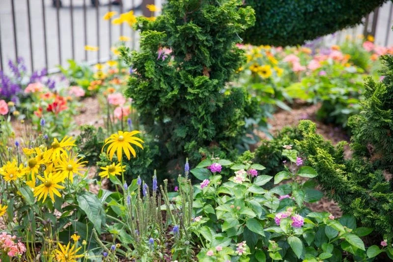 Do nawożenia roślin latem możemy wykorzystać sztuczne lub naturalne nawozy