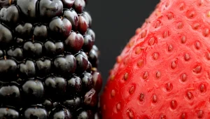 Owoce z ogrodu nie tylko doskonale smakują, ale wyróżniają się kształtami, kolorami i strukturą. Nie tak łatwo je rozpoznać. Spróbujesz?