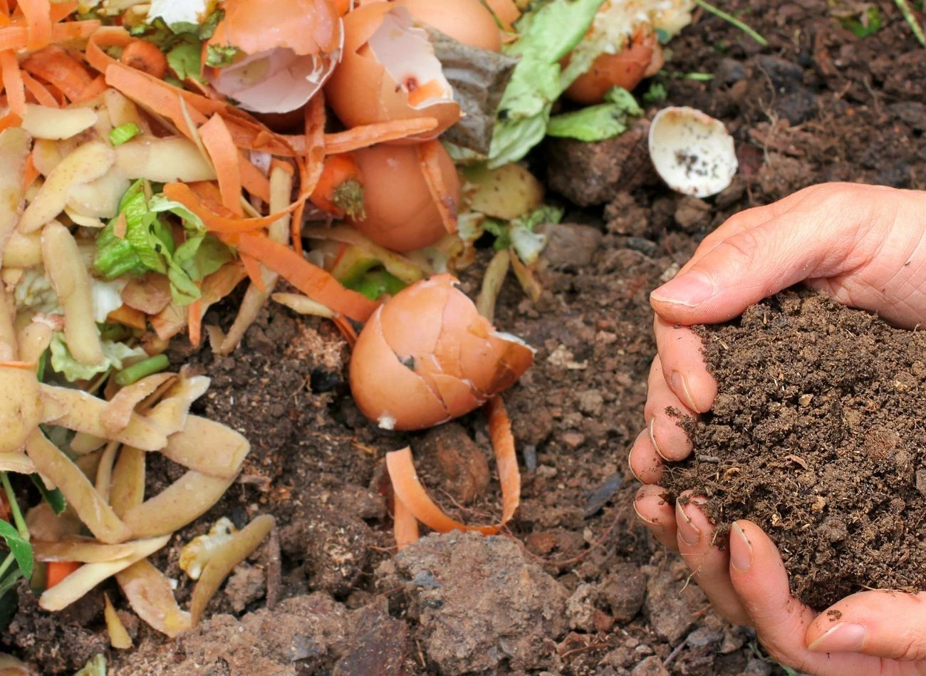 Domowa szczepionka z drożdży przyspiesza kompostowanie
