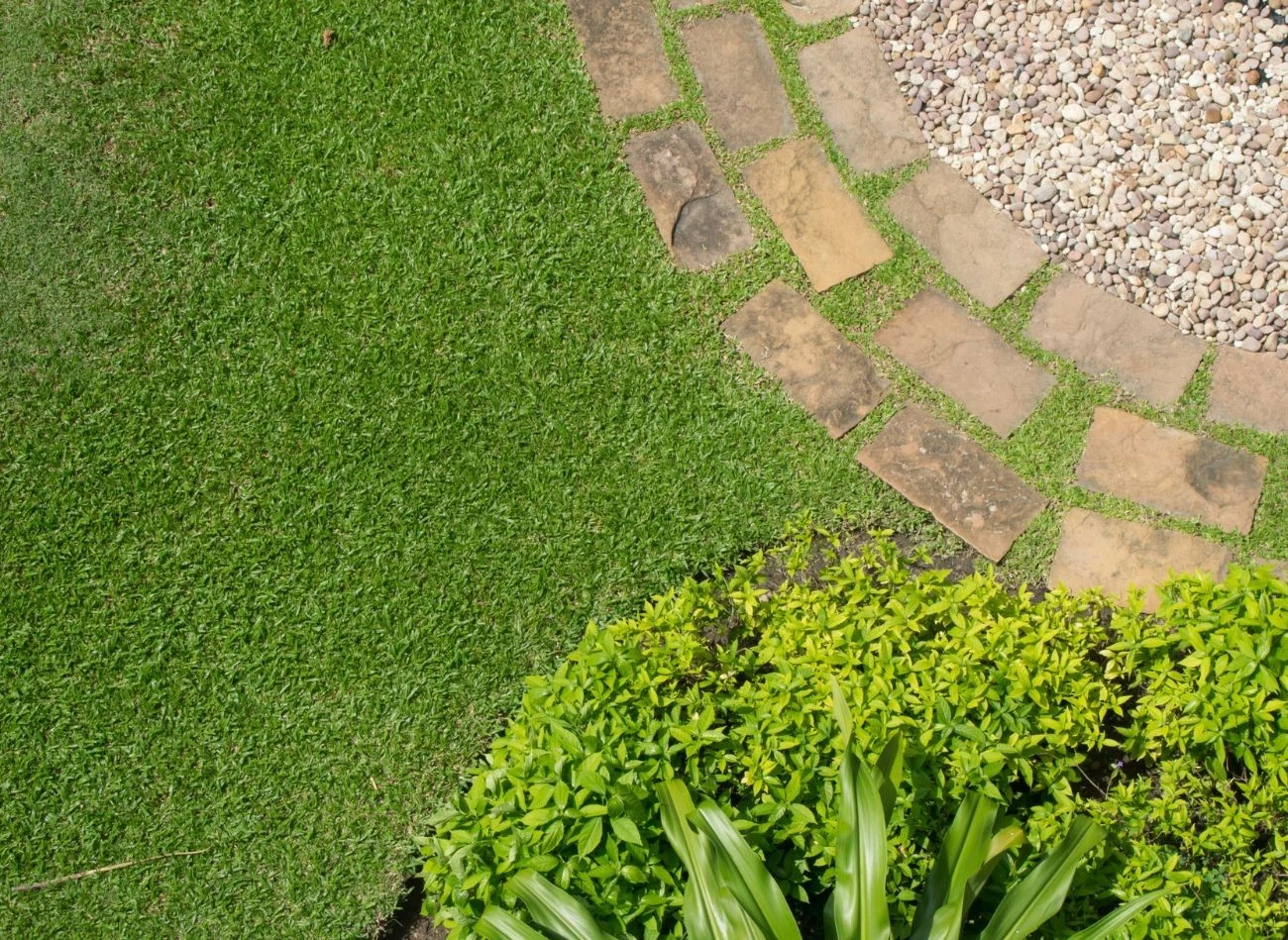 Trawnik samozadaraniający m