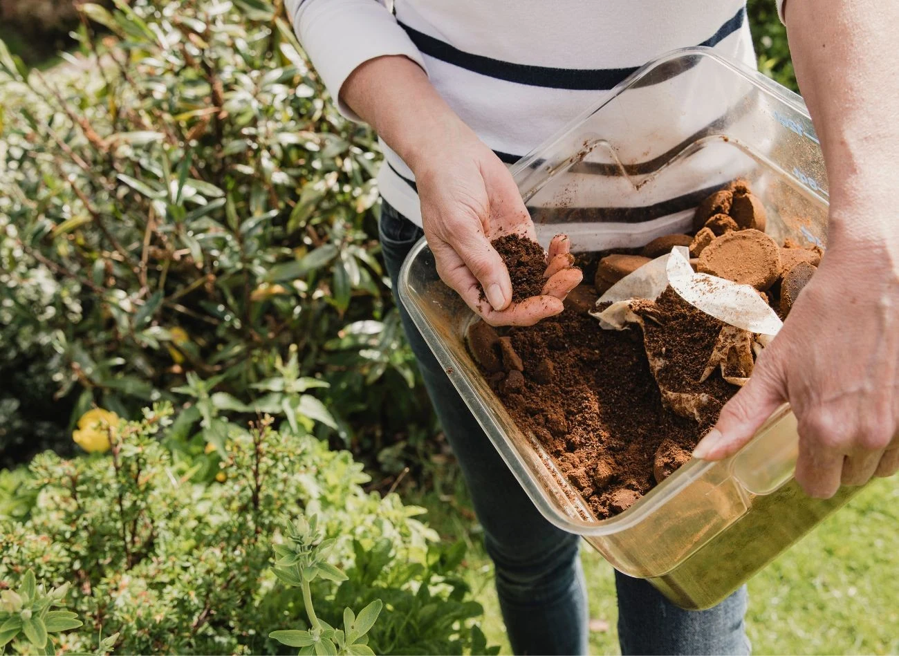 Kompost to naturalna odżywka, która przyspiesza wzrost i wpływa na rozwój roślin