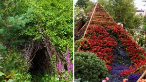 Jak możesz wykorzystać najnowsze angielskie trendy w twoim ogrodzie? To pytanie ma wiele odpowiedzi - sprawdź, ile masz miejsca i sięgnij po nieoczywiste rozwiązania. Fot. aleksandrkondratov/erostunova/123rf.com