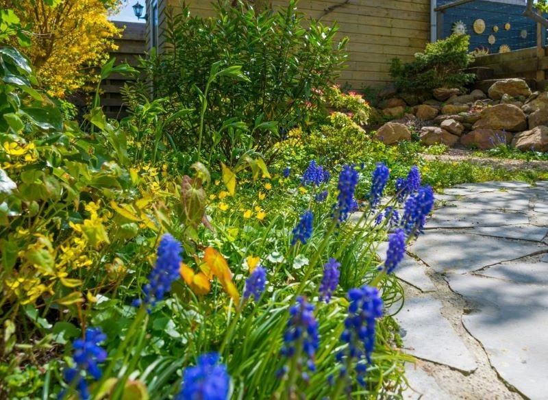 Sztuką jest tworzenie ogrodów spójnych, ale ciekawych i oryginalnych, a przy tym gładko wchodzących w naturalny krajobraz - pomagają w tym nie tylk...