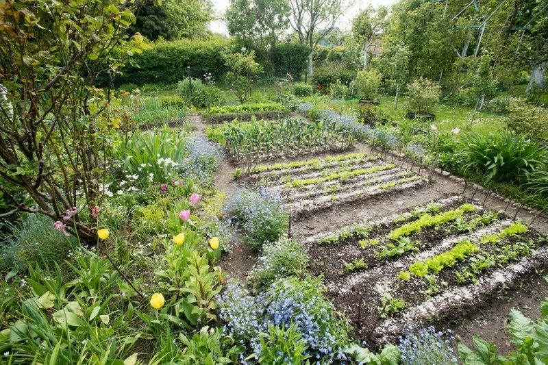 Ubezpieczenie działki ROD nie jest obowiązkowe, ale warto zdecydować się na takie rozwiązanie