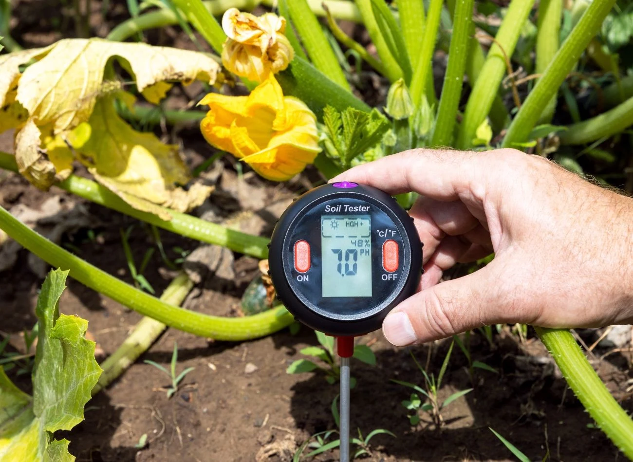Warto regularnie sprawdzać pH ziemi i reagować, gdy gwałtownie się zmienia