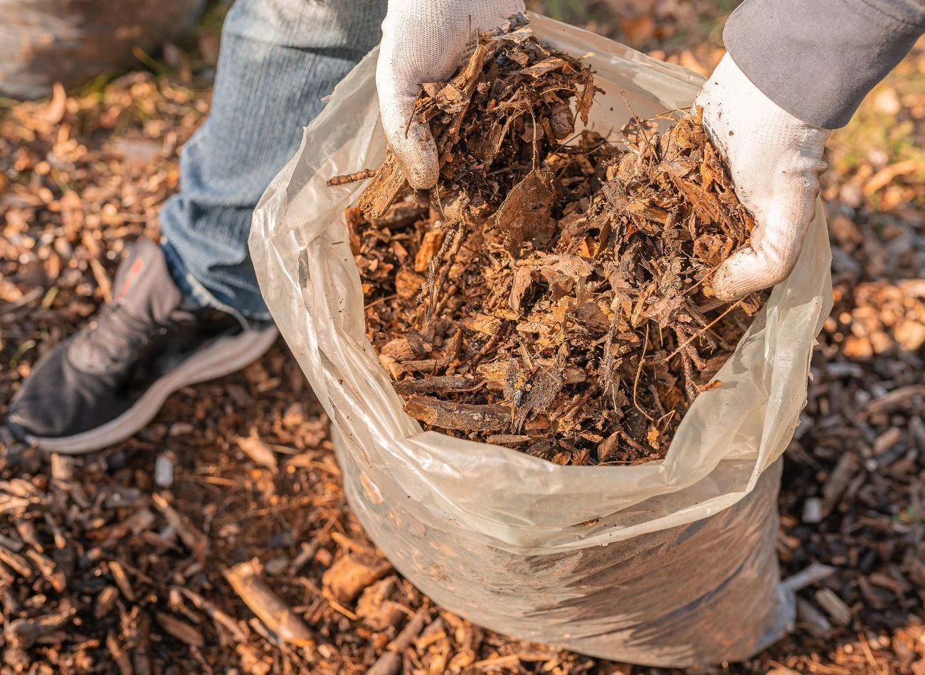 Podstawą w uprawie papryki jest odpowiednie ściółkowanie