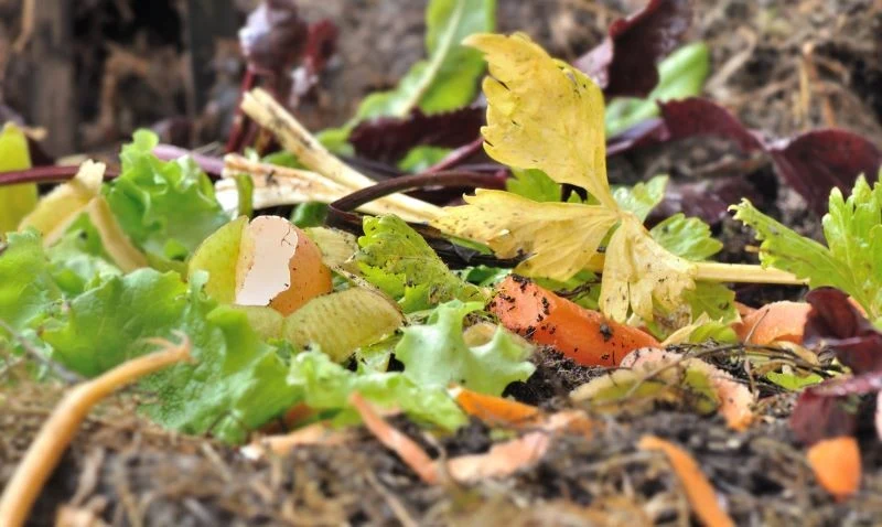 Jeśli długo nie mieszamy kompostu, zacznie wydzielać przykry zapach