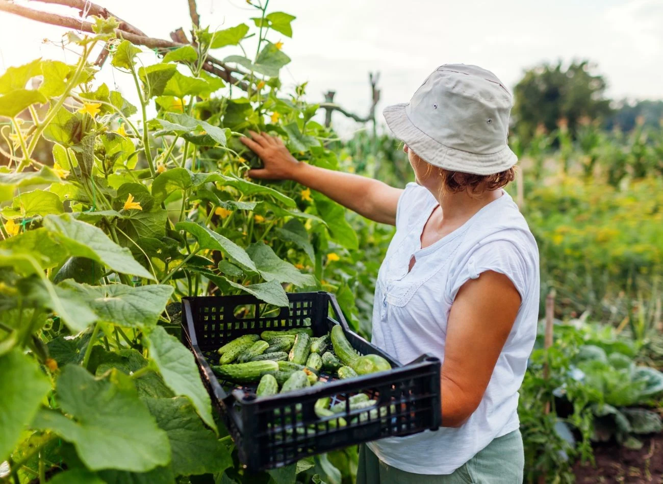 Gorzka sól jest bogata w siarkę i magnez, które stymulują m