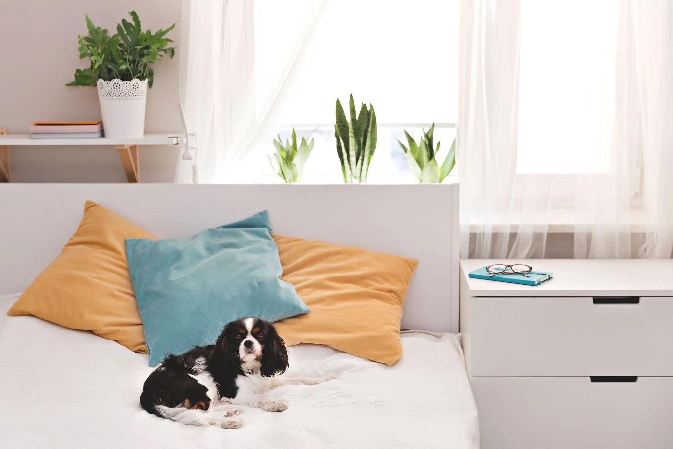 Jak urządzić pierwsze mieszkanie