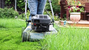 Czym się kierować podczas zakupu kosiarki. Jaka wybrać - akumulatorowa, spalinową czy na prąd?