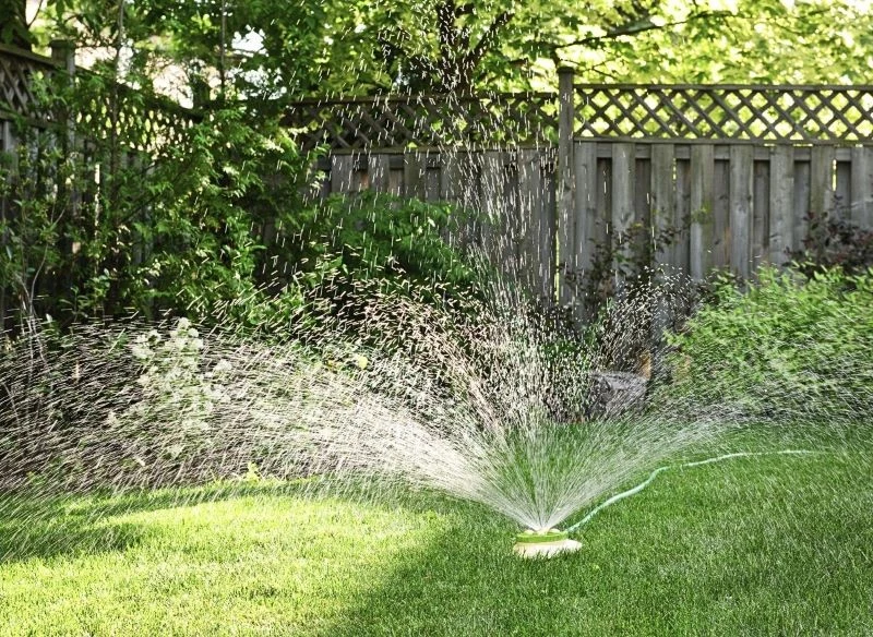 Trawnik należy podlać obficie po zakończeniu koszenia, a także po nawożeniu