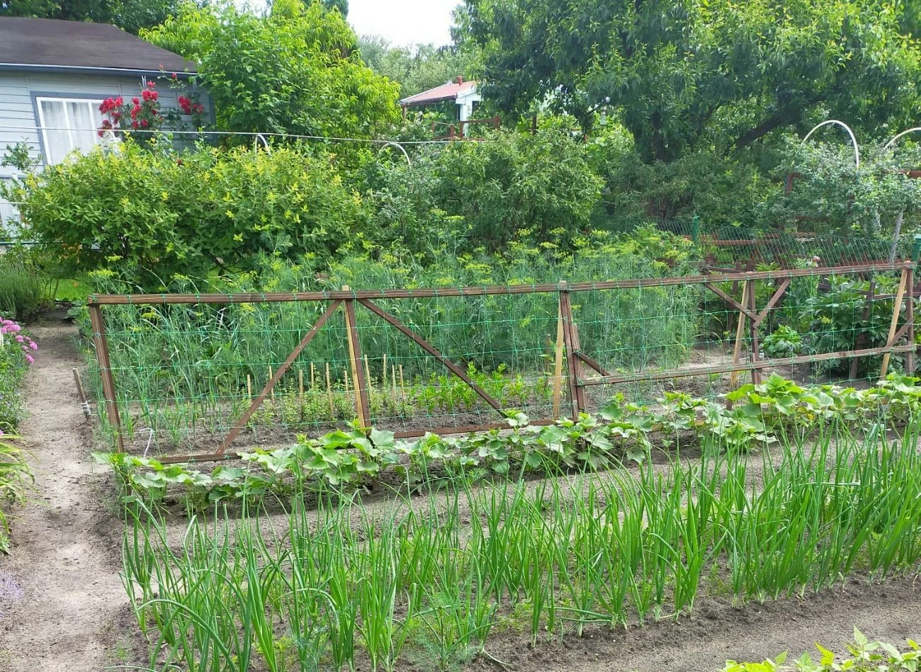D ziałkowcy mogą użytkować ogródki, ale muszą stosować się do regulaminu ROD