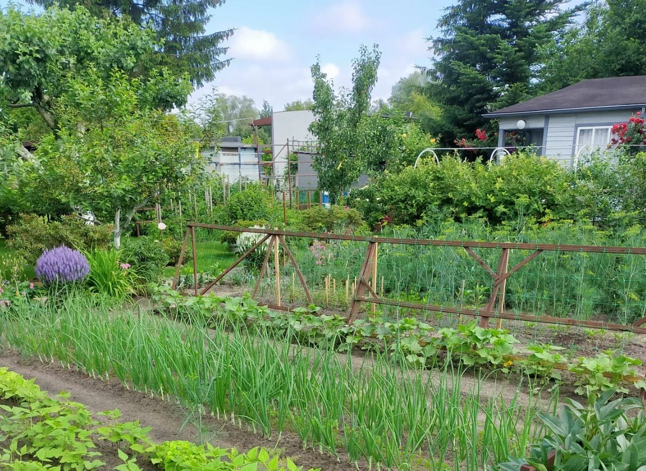 W mniejszych miejscowościach prawo do użytkowania ogródka działkowego można nabyć już za 5 tys