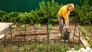 Sprawdź, jaki nawóz wybrać do ogrodu.
