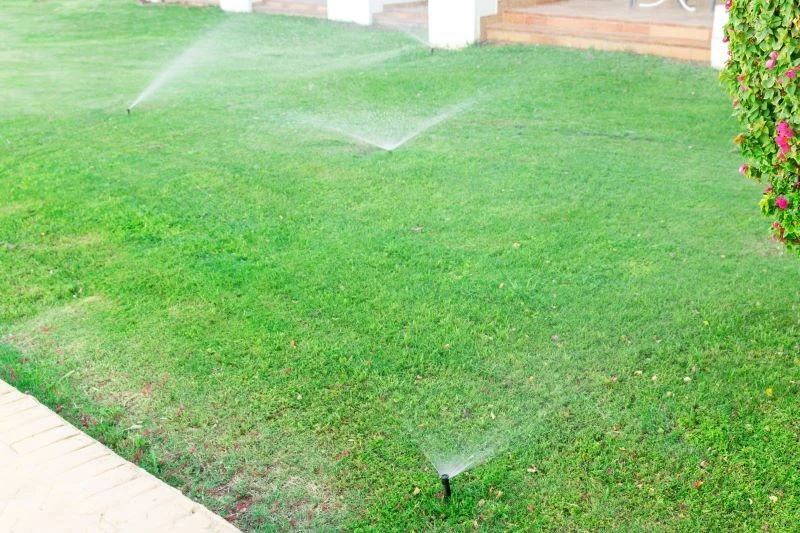 Zraszacze pulsacyjne świetnie sprawdzą się na dużych trawnikach