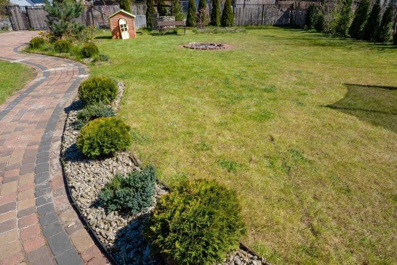 Zanim dosiejemy trawę, musimy spulchnić ziemię w miejscach, gdzie murawa jest przerzedzona