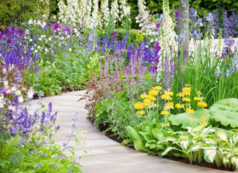 Naparstnica pięknie wygląda wśród innych roślin kwitnących