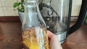 Czy woda bananowa jest dobra dla roślin? Stężenie składników odżywczych jest w niej znikome, lepiej sięgnąć po eko nawóz domowej roboty, która stanowi prawdziwy zastrzyk substancji odżywczych./deccoria.pl