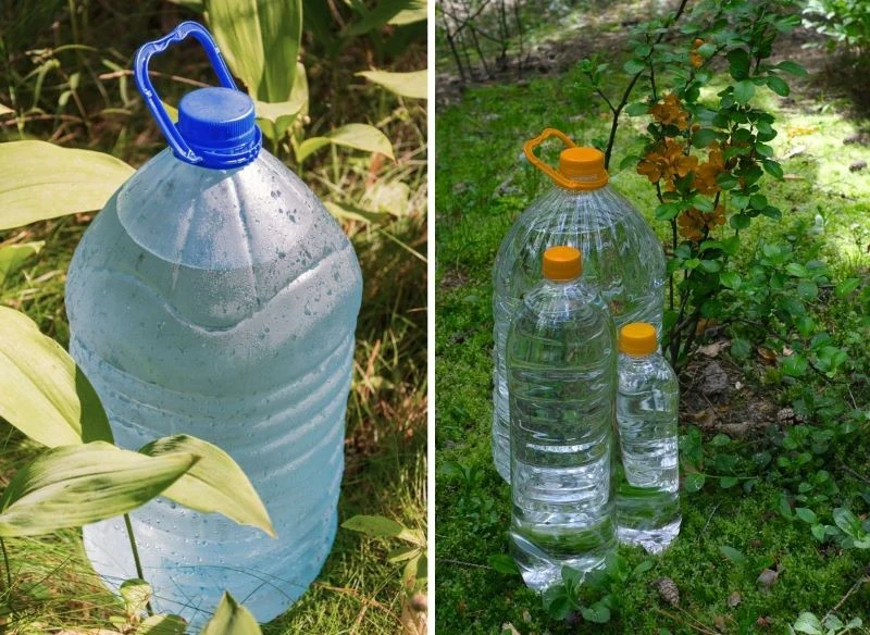 Wykorzystanie pustych baniaków i butelek to sposób na recykling, a przy tym na stałe, kontrolowane nawadnianie roślin, gdy nie ma cię w pobliżu