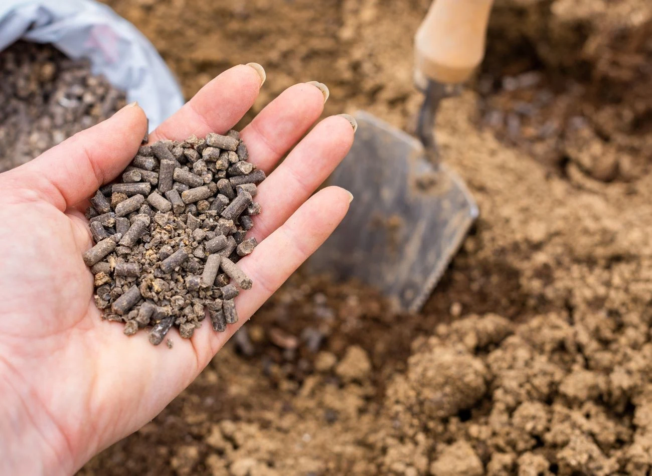 Obornik granulowany jest dobrym sposobem na użyźnienie gleby
