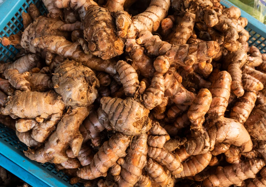 Kurkuma często stosowana jest przez hodowców roślin i ogrodników jako nawóz