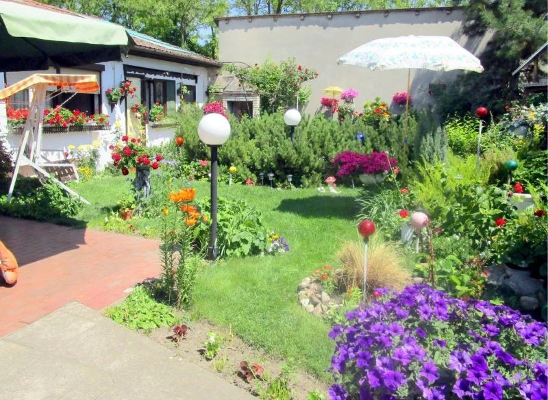 W majowym ogrodzie jest już co chronić przed mrozem - kwitną kwiaty, drzewa owocowe toną w bieli i różu, a wokół pełno pszczół i trzmieli