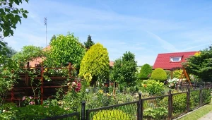 w wielu regionach Polski działki ROD kosztuję już tyle, co mieszkanie. Skąd takie ceny?/East News