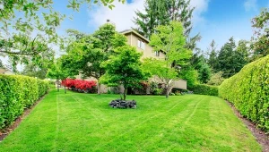 Inaczej kosimy trawę na wiosnę, a inaczej latem. Każdy centymetra robi różnicę.